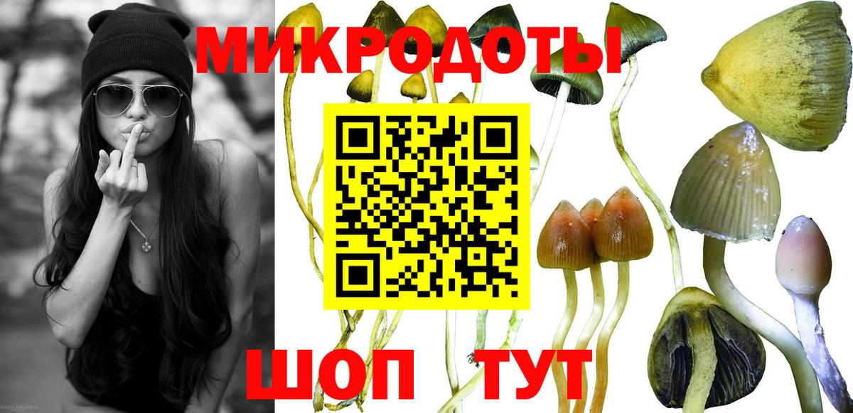 Псилоцибиновые грибы MAGIC MUSHROOMS Воткинск